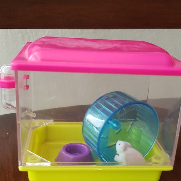 american girl hamster